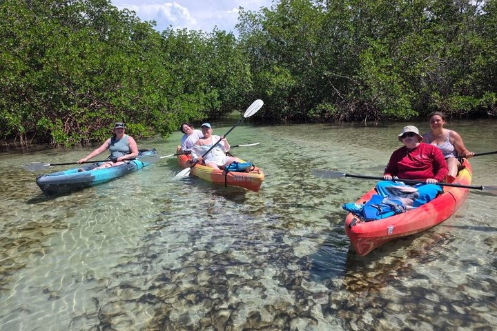 The Jim Neville Preserve has crystal clear water and loads of mangrove islands to explore.